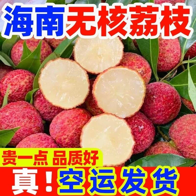 【海南空运直达】海南火山无核荔枝新鲜现摘当季荔枝多种无核荔枝