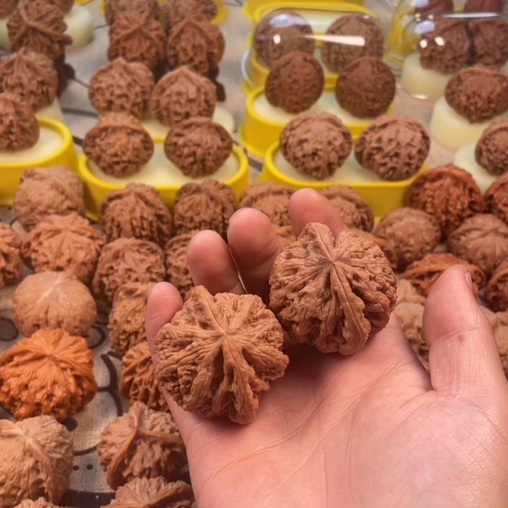 Y***g吊坠桃核大粗筋全品