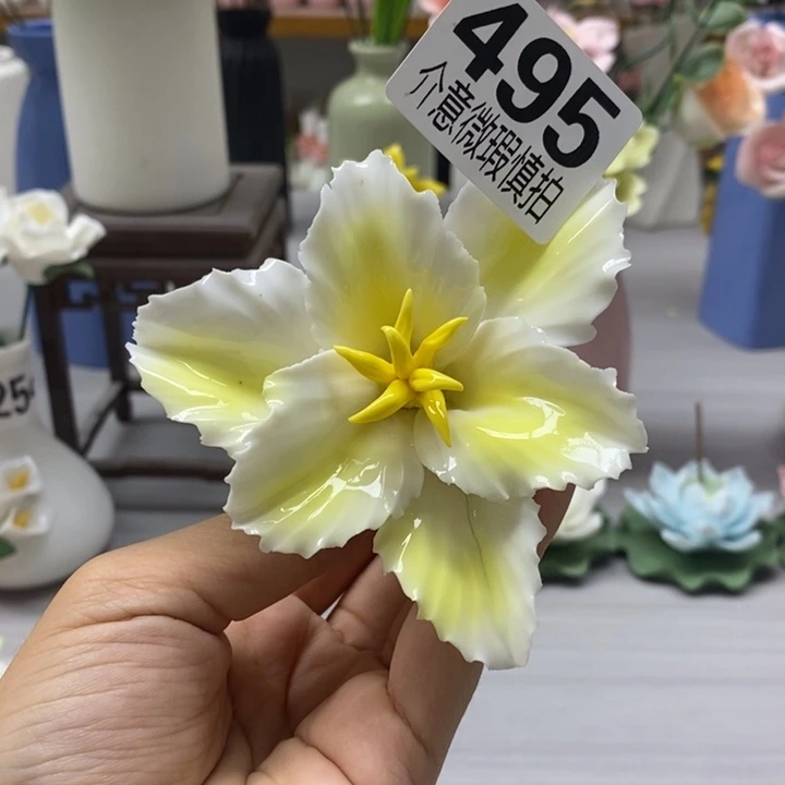 陶瓷陶瓷材料加工