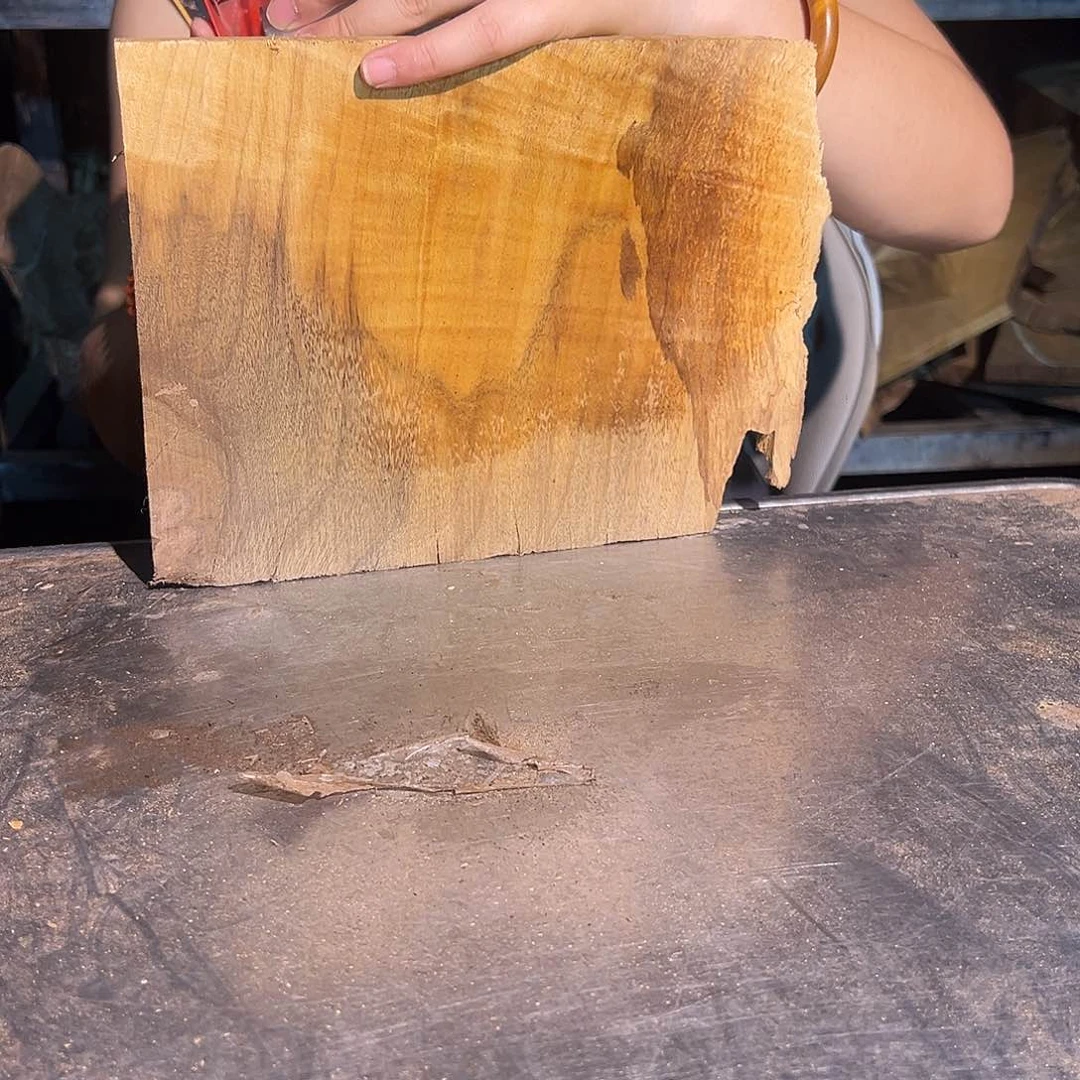 楠木?****)2222222222222222222