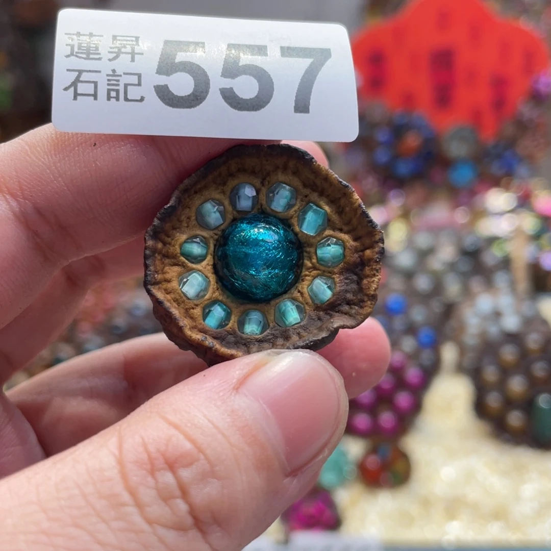 核桃木/黑胡桃（胡桃木）557