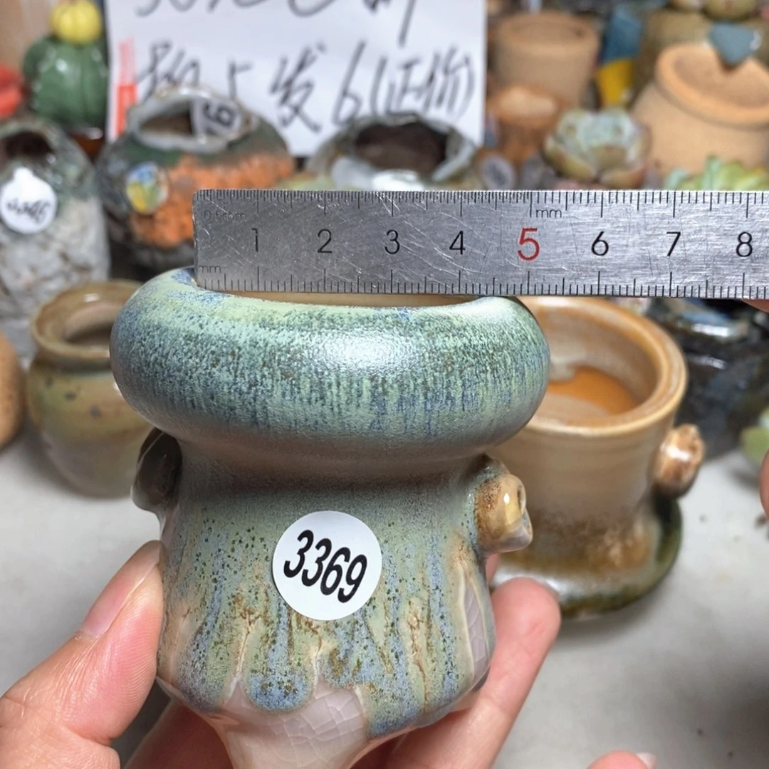 拍5送一个小礼物