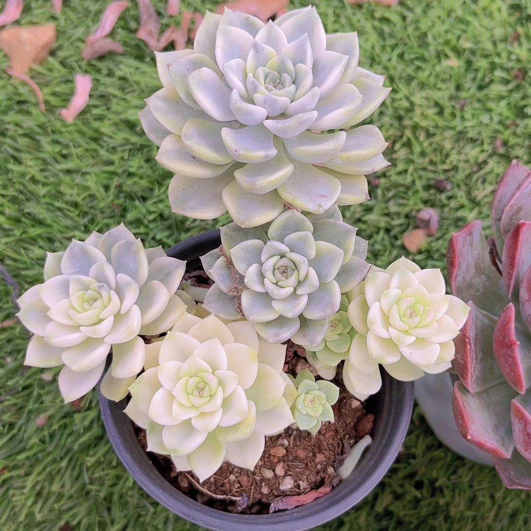 999999999999999999999