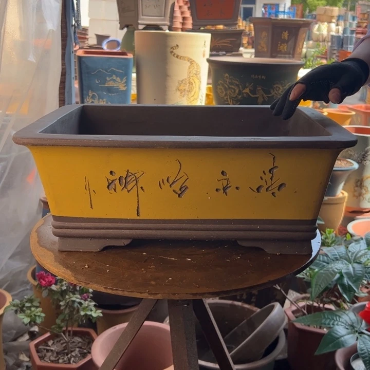 45黄刻绘马槽花盆花盆花盆