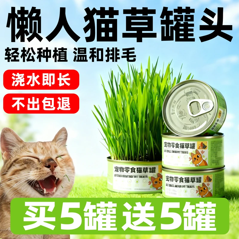 懒人猫草罐头小麦草自种盆栽猫草助化毛猫草罐头水培猫草猫咪用品