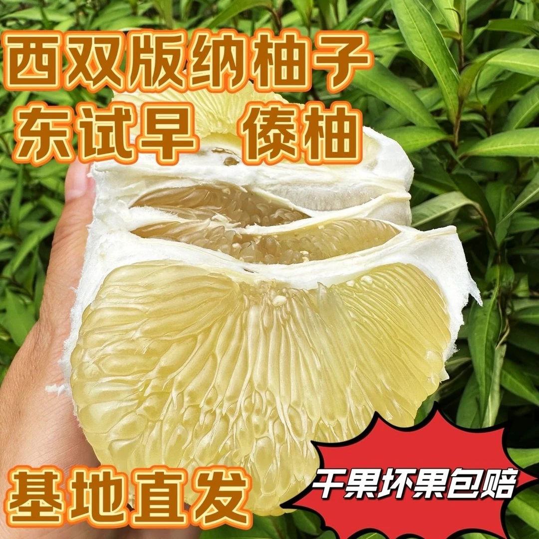 柚子傣柚西双版纳柚子东试早基地直发白心柚子云南傣柚当季