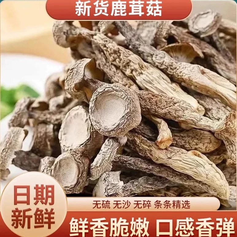 鹿茸菇干货高山菌菇无硫无沙炒菜炖汤鲜美食材 200g