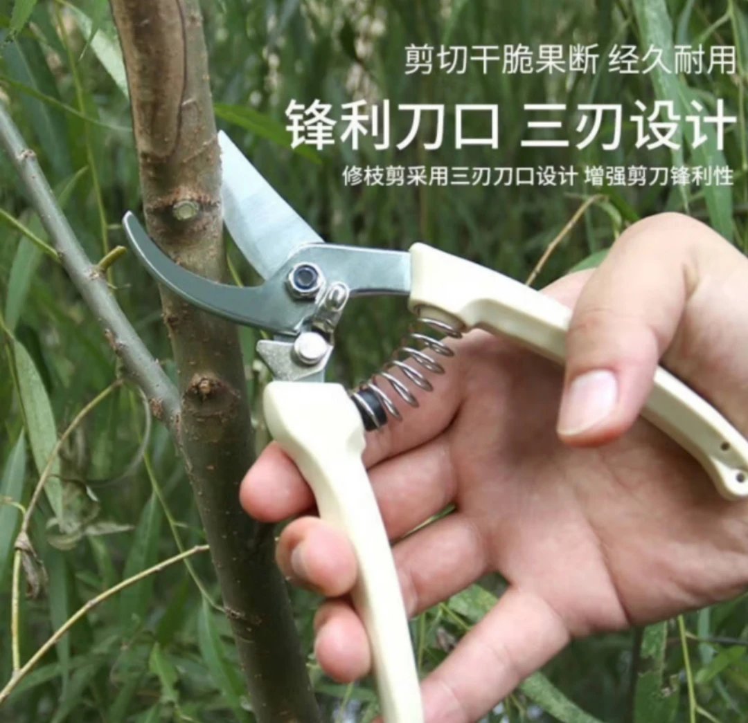 省力超锋利修枝剪专用剪刀剪子修花园林果树家用花卉花艺剪枝工具