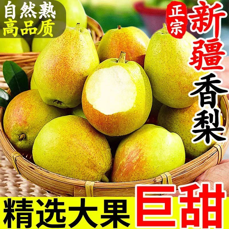 【新疆直发】库尔勒香梨新鲜全母梨特级薄皮水果当季水果礼盒装包邮
