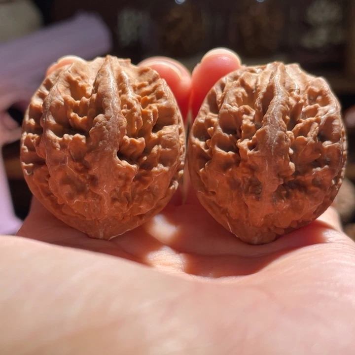 吊坠文玩核桃大*金钱龙珠8