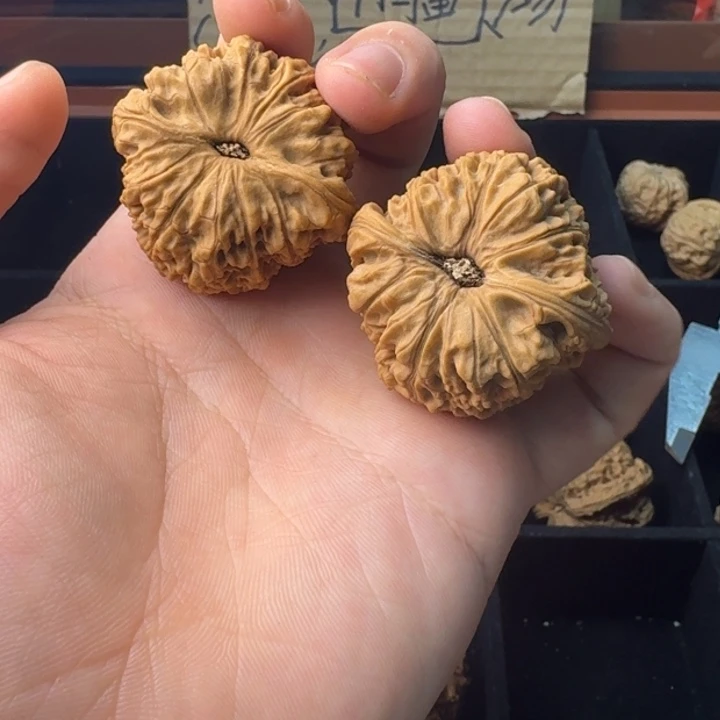 4***2大叶紫檀（黑酸枝木类）