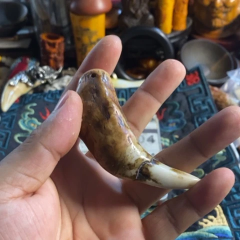 寻呼台的人也太少见啦哈