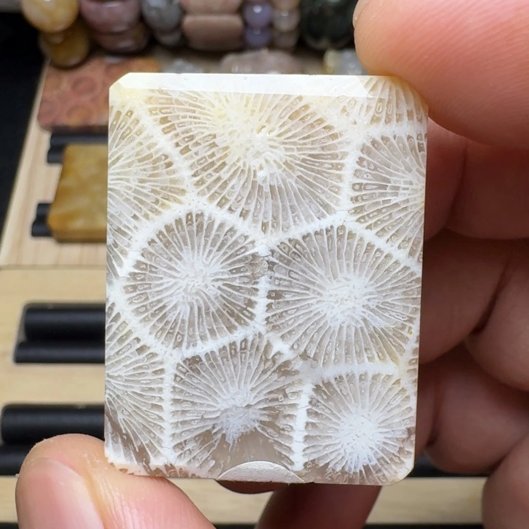 硅化玉未镶嵌纯天然色有机玉石保真色
