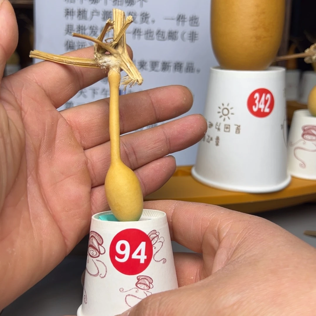 闪电购自助下单编号94