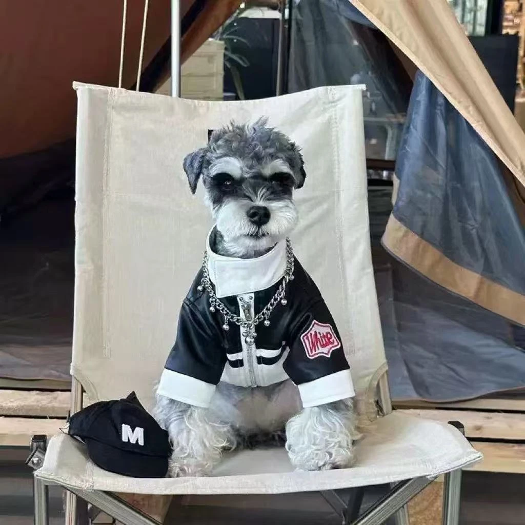 宠物潮牌皮衣猫咪狗狗春夏两脚炫酷雪纳瑞比熊泰迪小型犬宠物机车