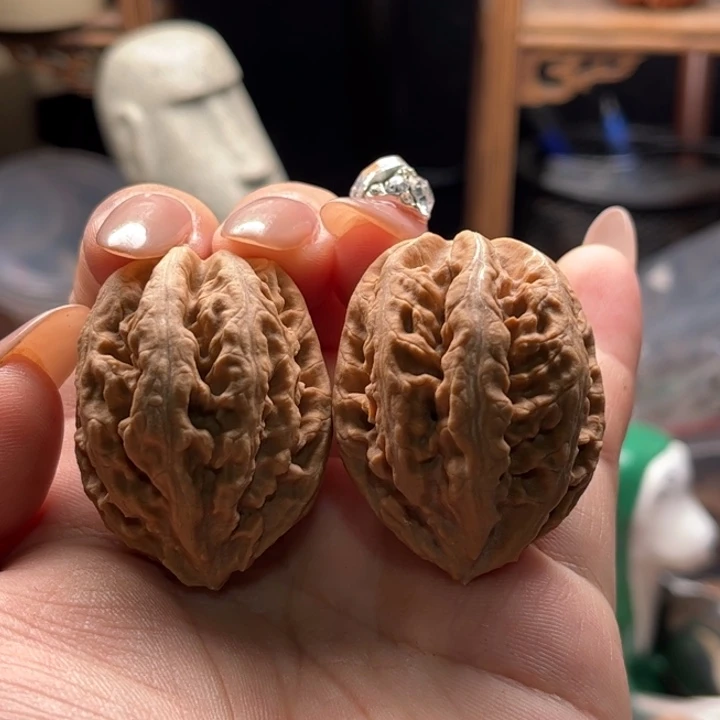 文玩核桃把件楸大胖17