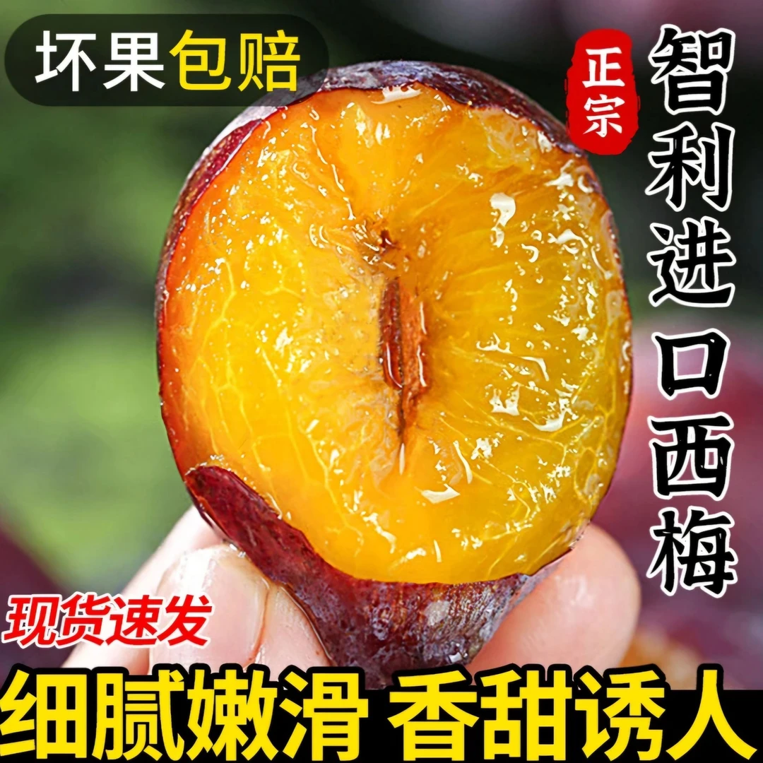 智利进口西梅2斤新鲜水果多汁时令鲜果现货现发