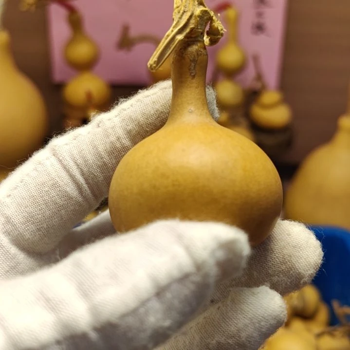 秉***串天然小葫芦手把件
