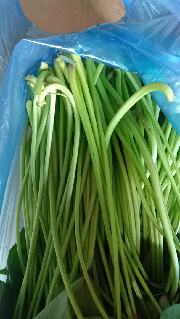 顺丰包邮石牌露天红薯找