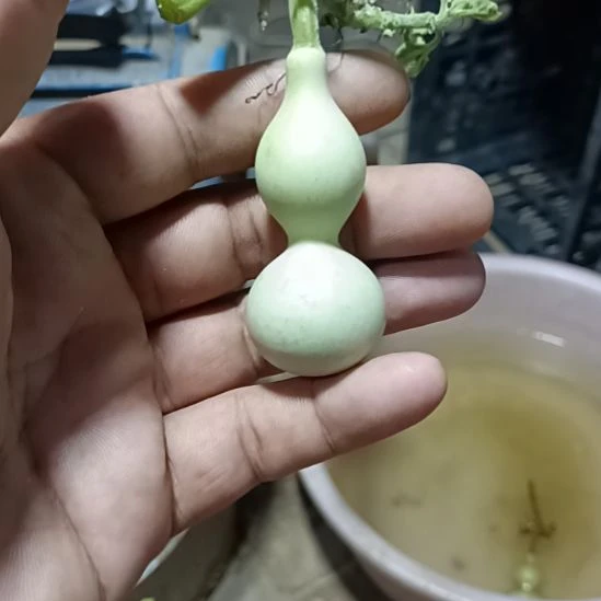 ，。。。。。，，，，，，，。。。。。，。，