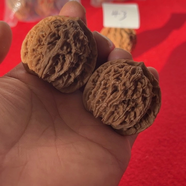 文玩核桃把件老款红皮【蟠龙纹】