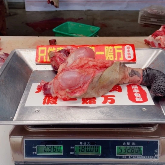 【闪购商品】冷冻保存30天包装河北省