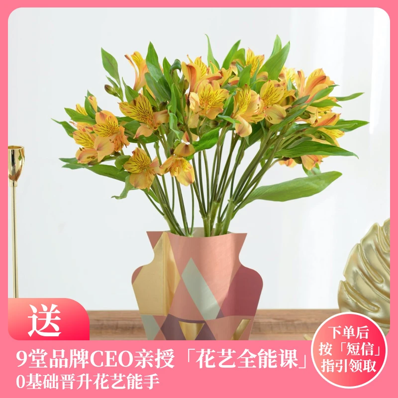 橙色系六出花10枝