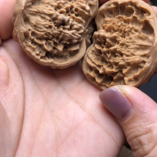 ༺***༻核桃手串/手链打底蛇头