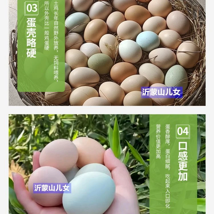 沂蒙山正宗土鸡蛋农家散养柴鸡蛋笨鸡蛋新鲜乌鸡蛋月子本50枚批发