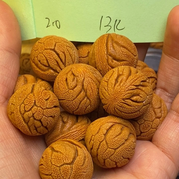 吊坠桃核秦岭龙纹桃核20尺寸