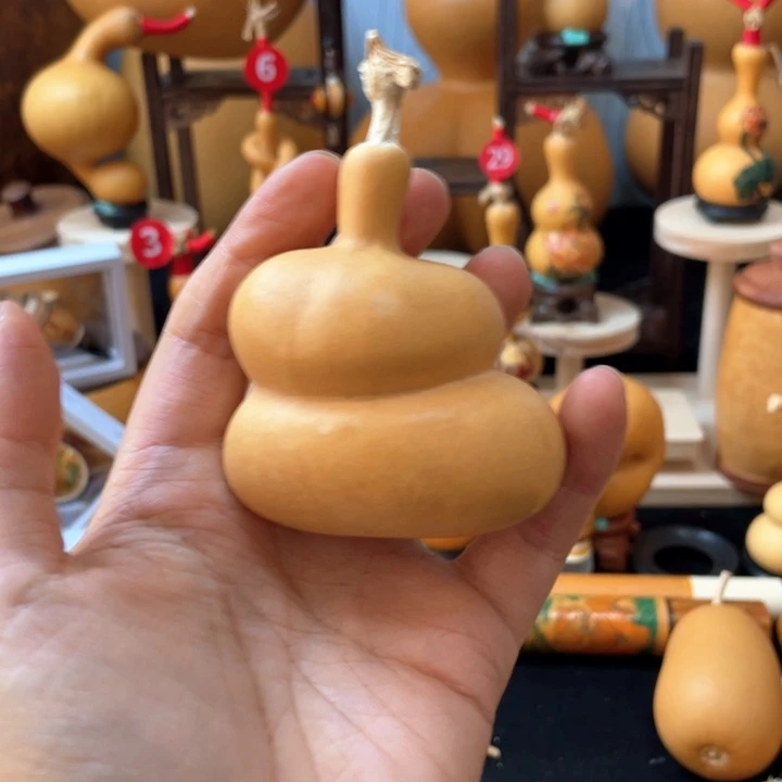 白**子葫芦丝和音乐也可以在