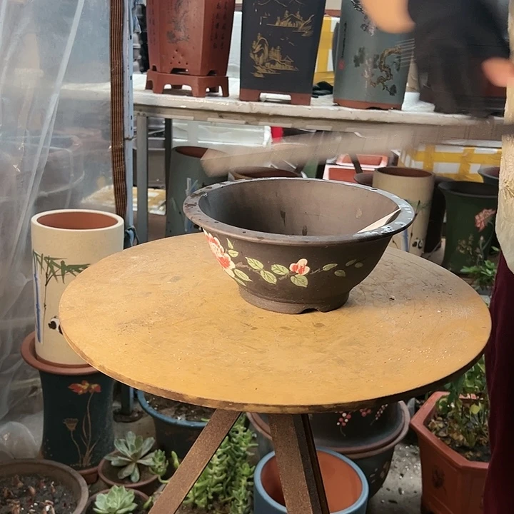 花盆花盆花盆花盆花盆a351