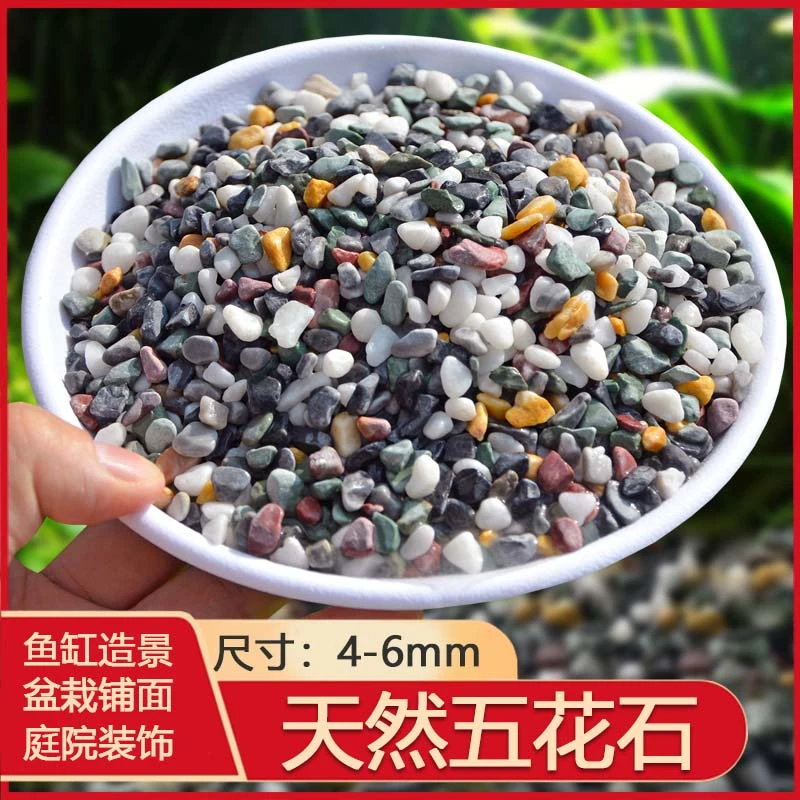天然彩石多肉盆栽铺面石子鹅卵石鱼缸造景底砂种花装饰五彩小石头