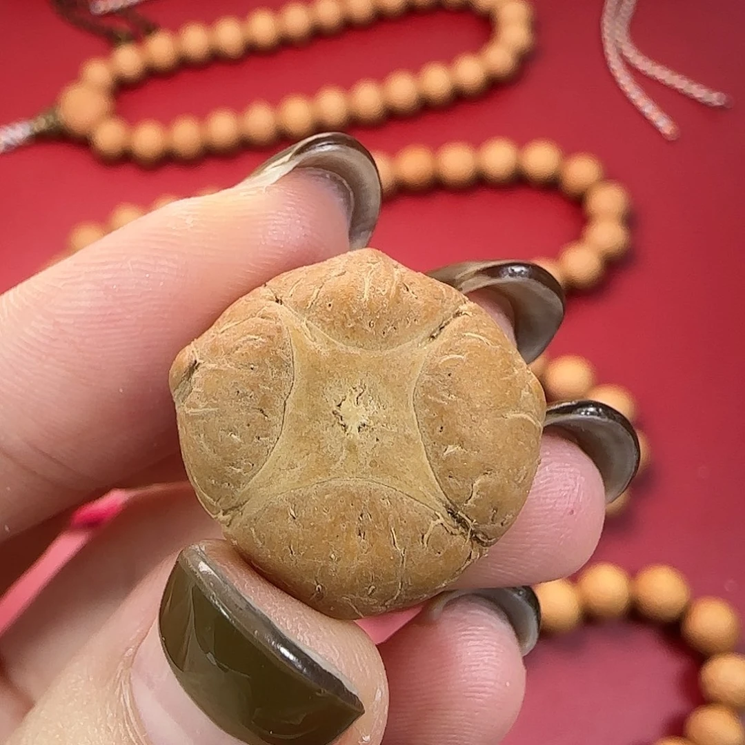 手串凤眼菩提25年新籽尼泊尔麒麟眼单颗