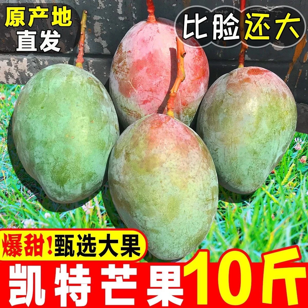 【超甜】攀枝花正宗凯特芒果新鲜当季网红水果皮薄肉厚整箱包邮
