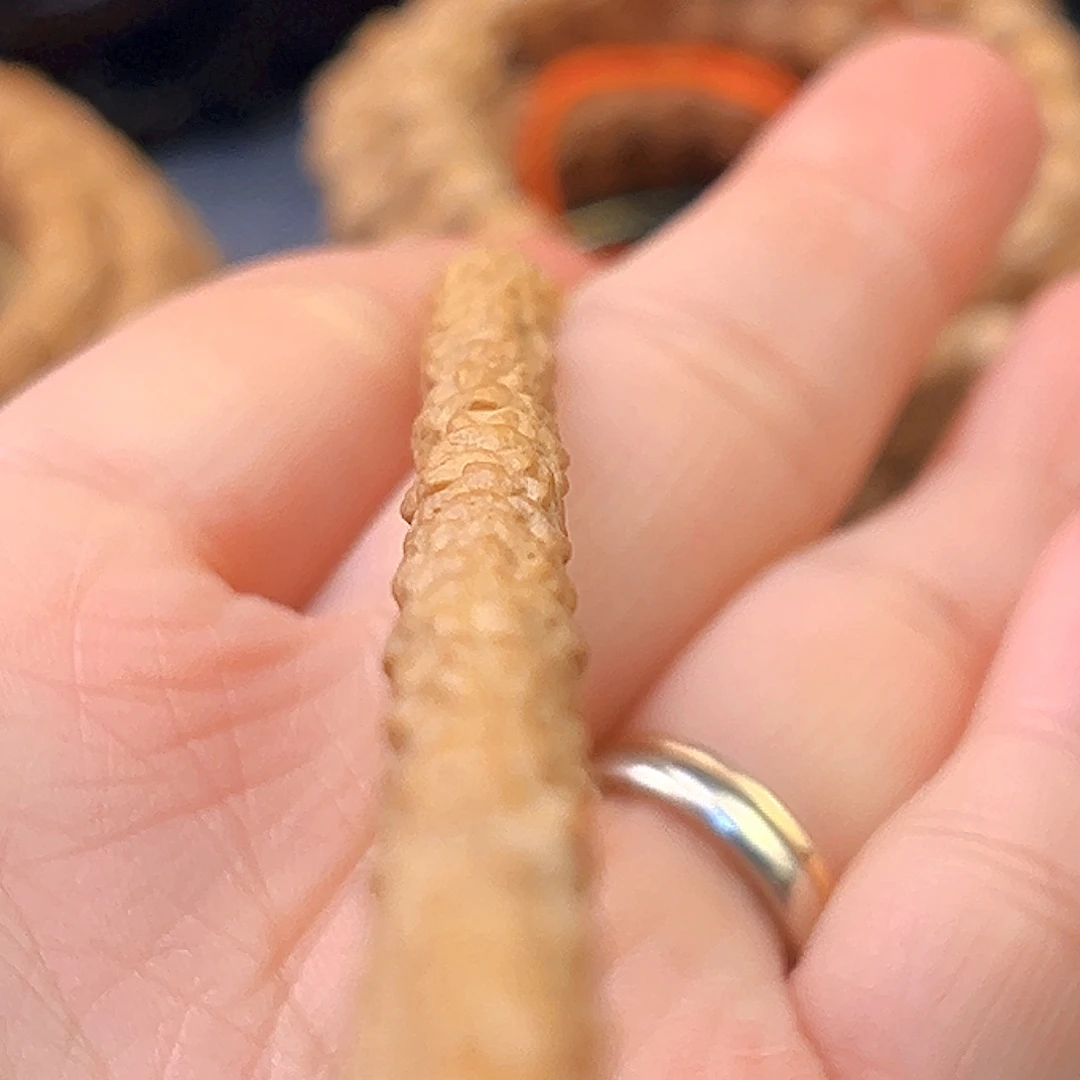 劉***儿手串柏香籽/百香籽