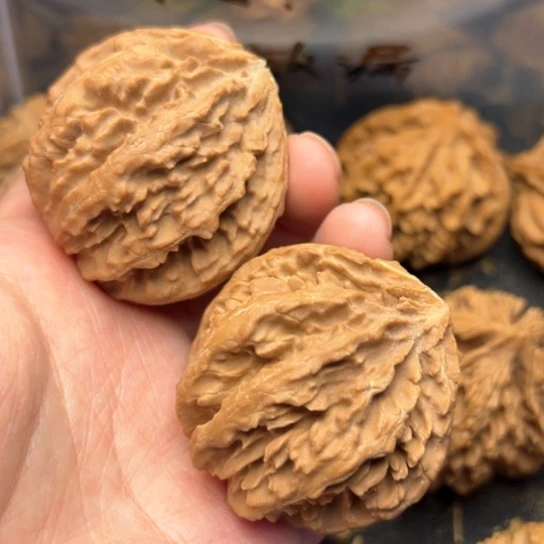 文玩核桃把件秦岭核桃6