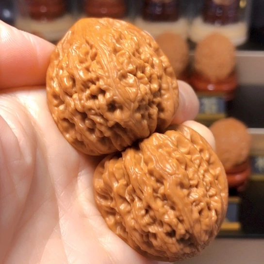 野生小众：精品蛮王