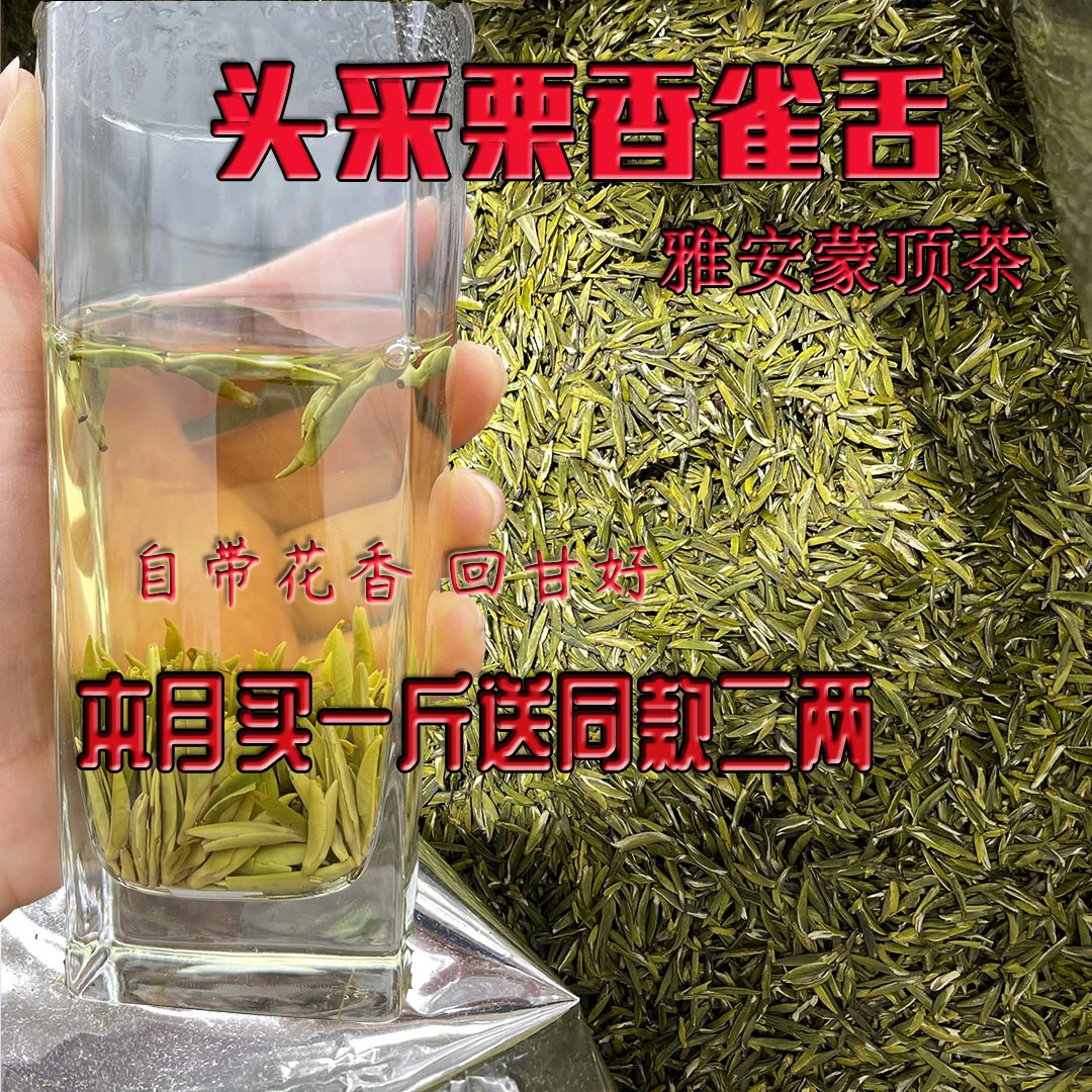 高端栗香雀舌浓香甘甜2025年新绿茶雅安蒙顶山茶明前头采蒙顶石花