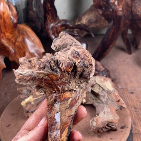 黄花梨/降香黄檀月*恒