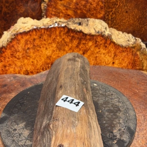 大果紫檀（缅甸花梨）