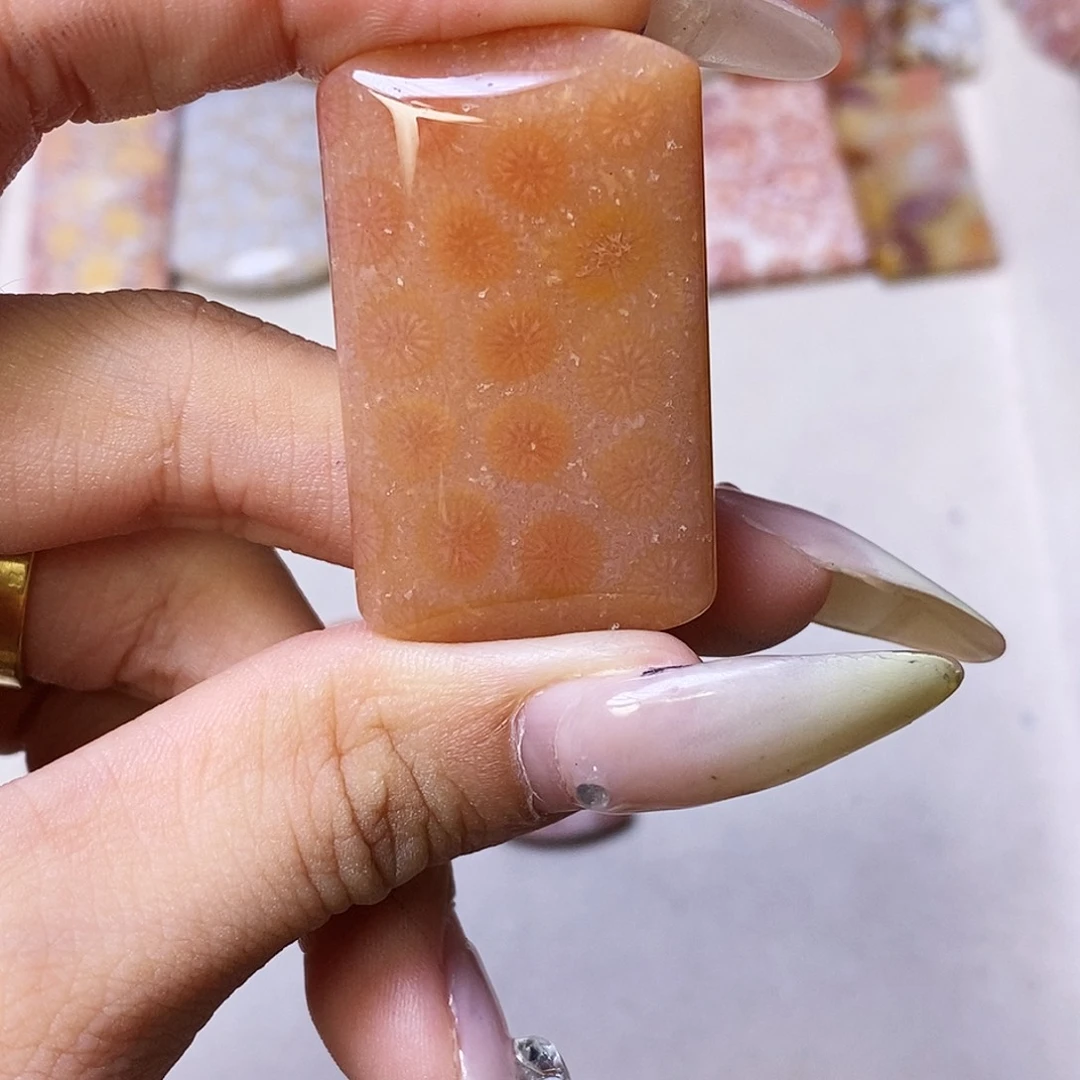 查罗石合金颈饰T***y