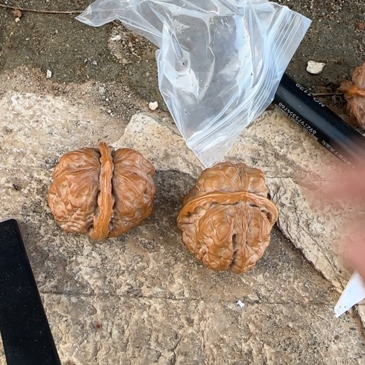 阿****把件文玩核桃蛤蟆头
