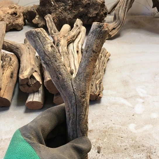 大果紫檀（缅甸花梨）涵*