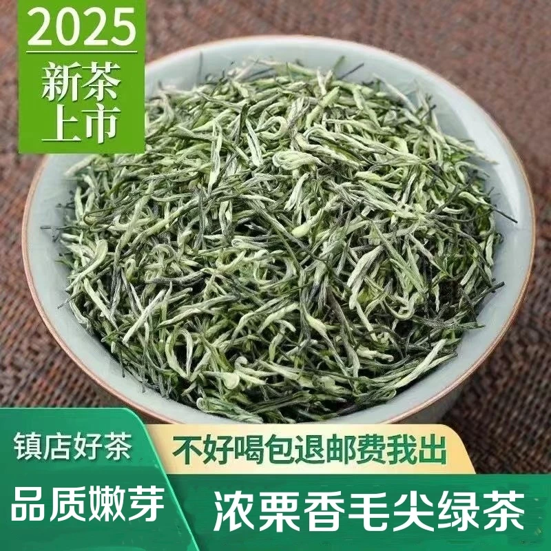 正宗原产毛尖香浓绿茶2025新茶嫩芽全芽头绿茶茶叶浓香型罐装