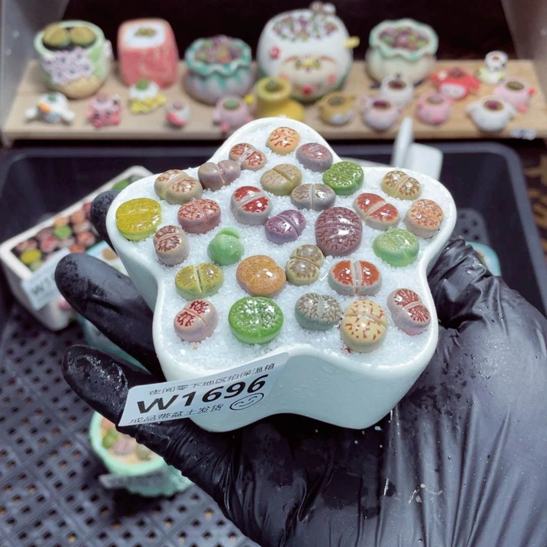 夜间零下地区拍保温箱w1696