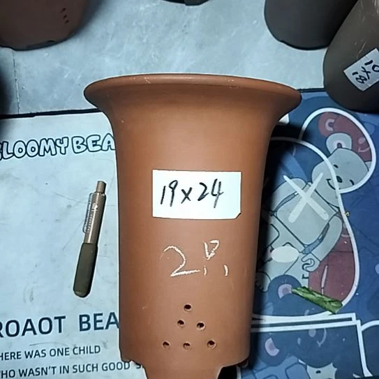 紫砂大红兰花两个