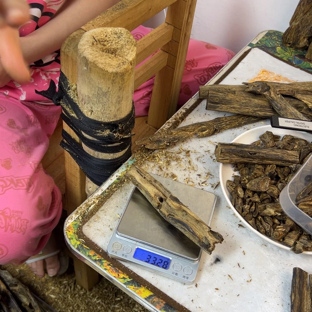 线香奇楠虫漏香33克