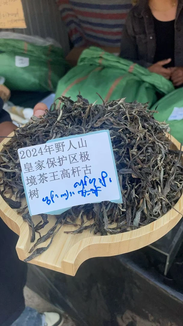 古树散茶24年野人山皇家保护区极境茶王高杆古树611SHE8826JK-123