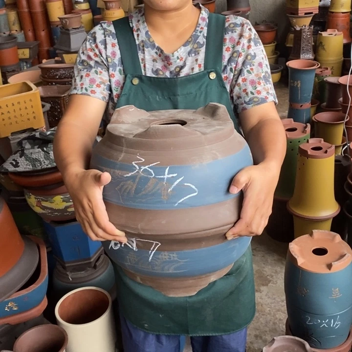 紫砂花盆盆栽花卉苗木种植